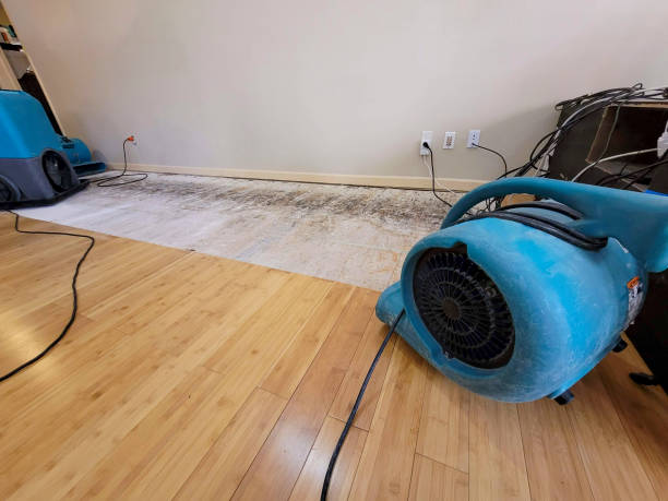 Professional Basement Flood Cleanup technician working in Picher, OK